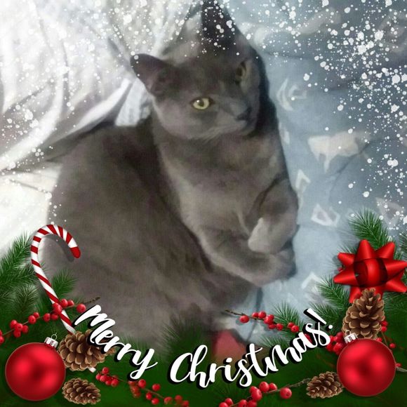 Meet your Posher, Kimberly - Picture 1 of 1